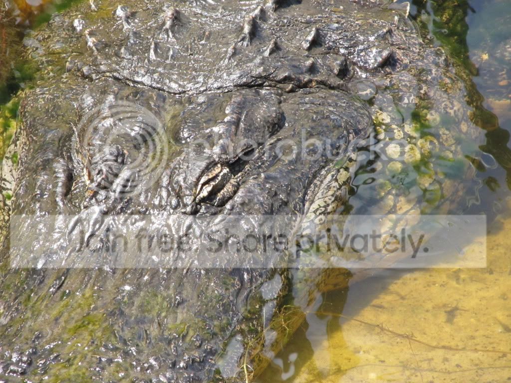 IMG_6372.jpg