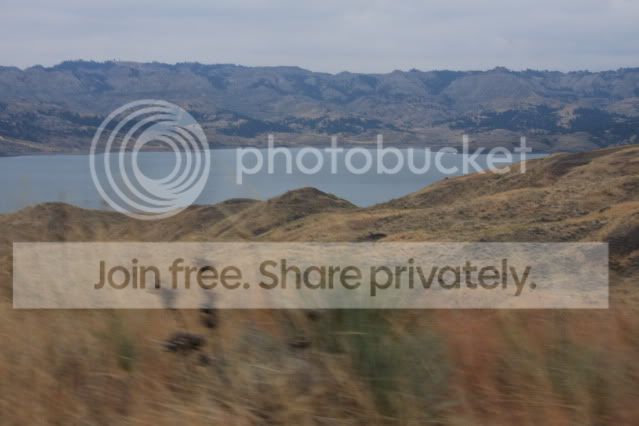 IMG_7990.jpg