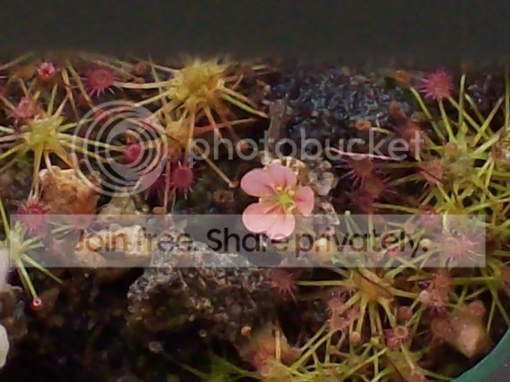 Picture002-9.jpg