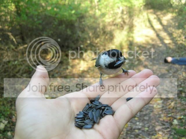 DSCN6096.jpg