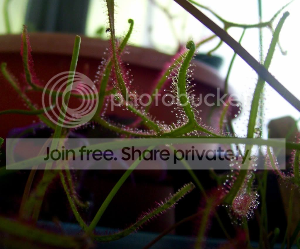 100_5932.jpg