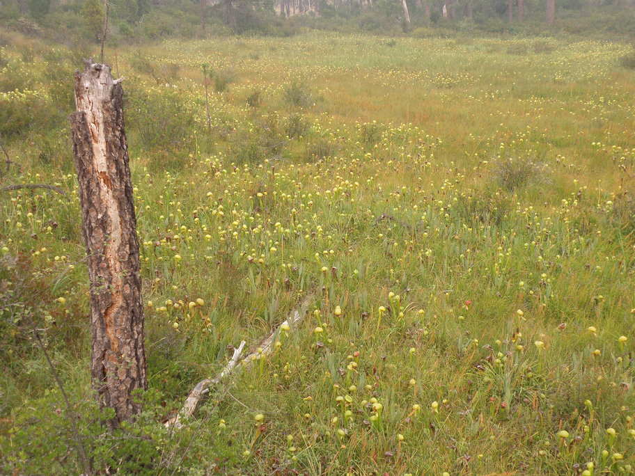 P8069059s.jpg