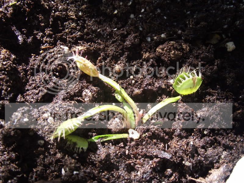 009.jpg