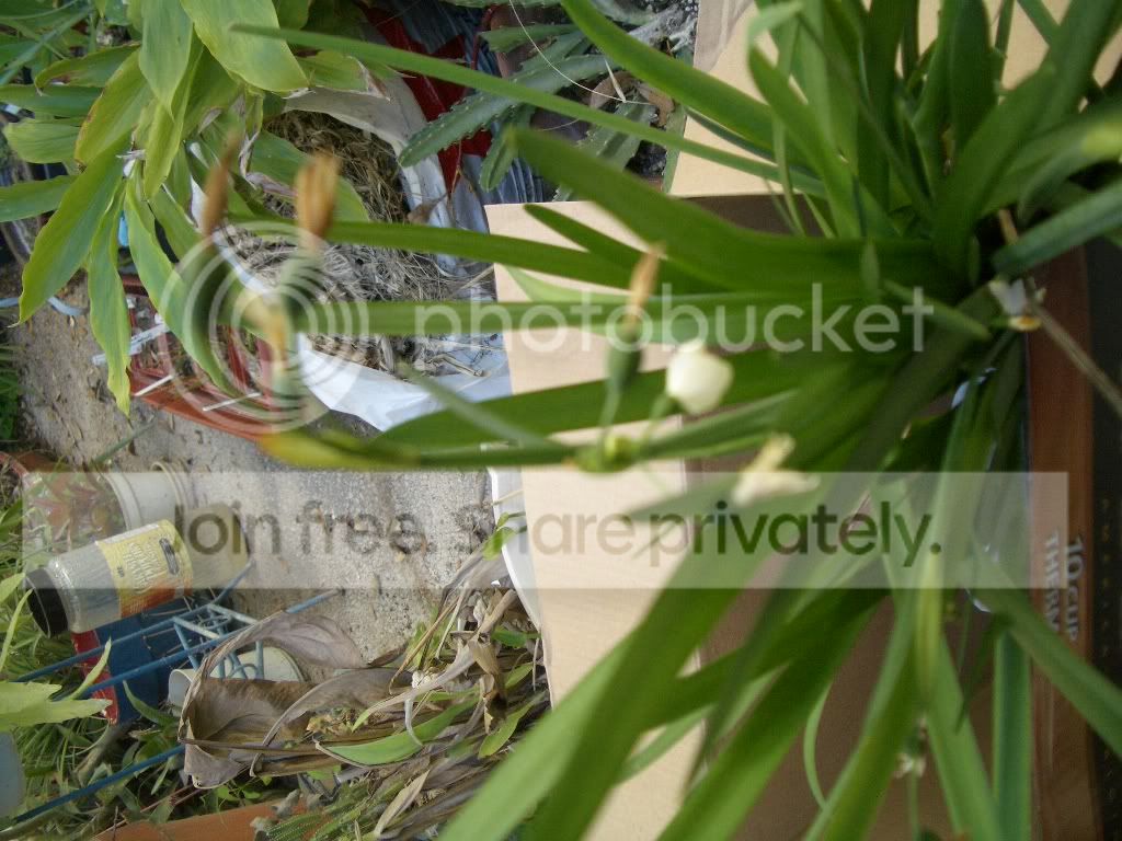 IMGP6190.jpg