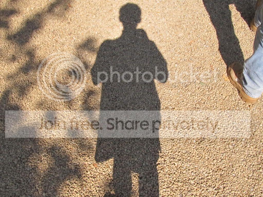 IMG_8907.jpg