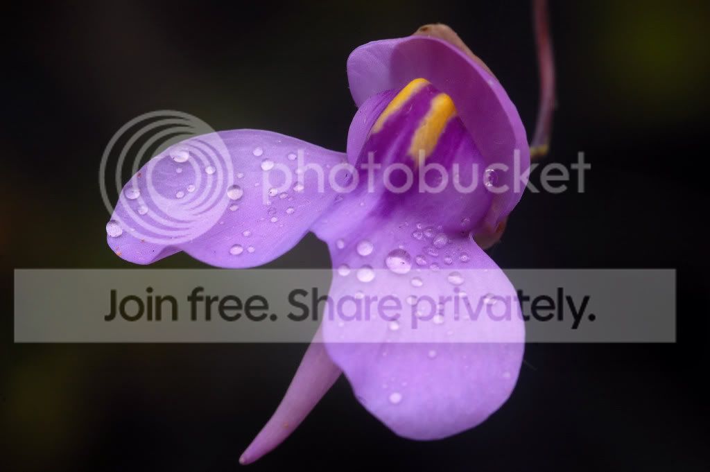 DSC_06560001.jpg