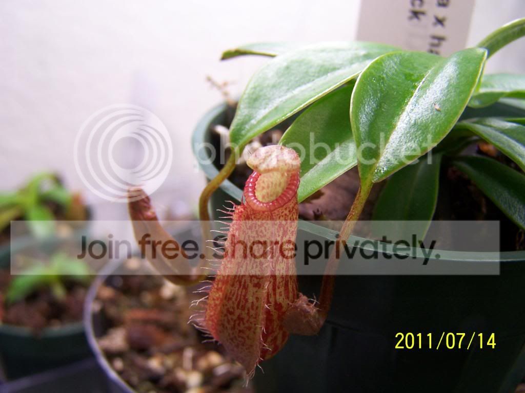 100_4822.jpg