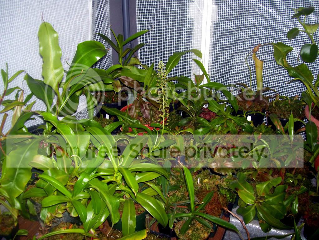 100_5853.jpg