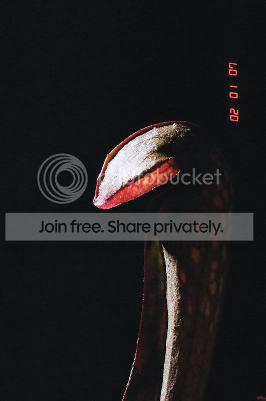 04200022.jpg