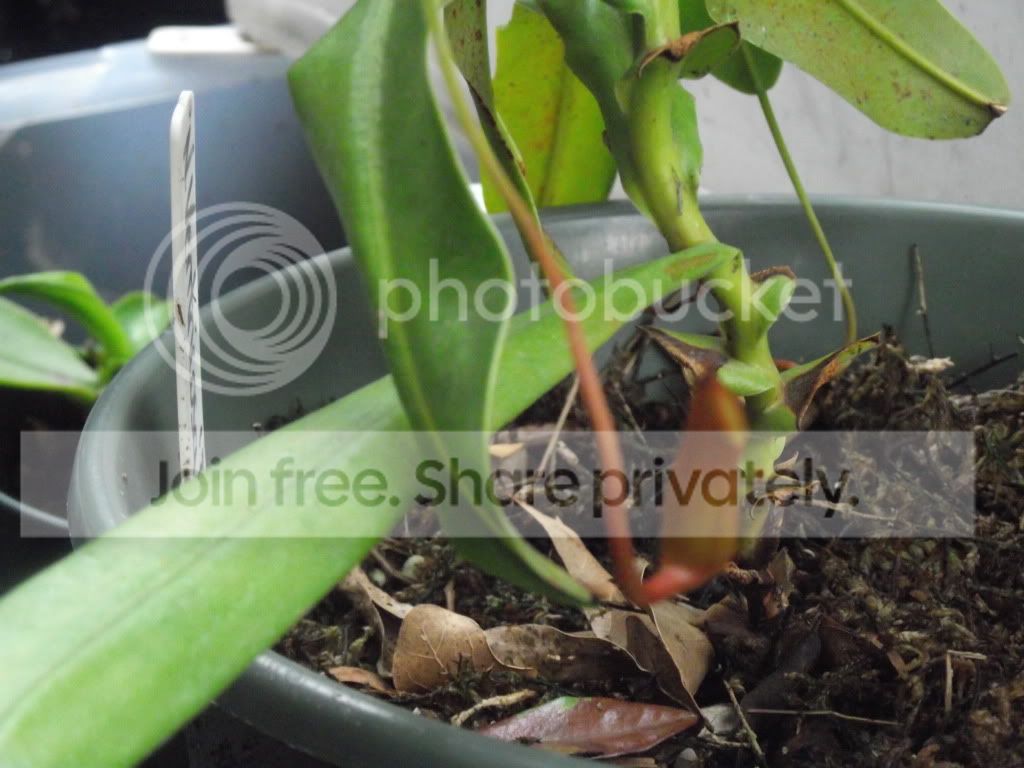 DSCF5255.jpg