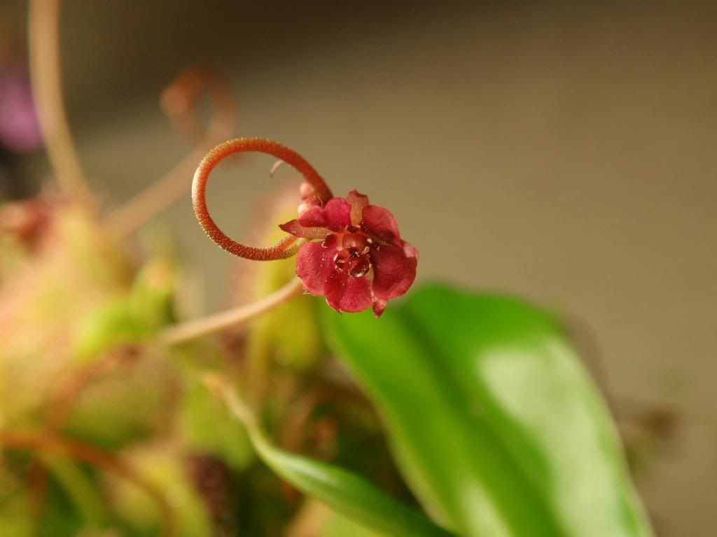 P2200290_zps7629e09e.jpg