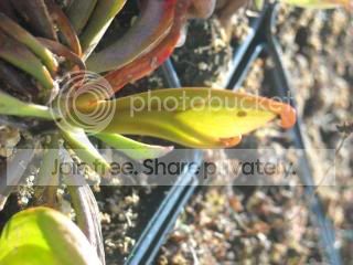 DSCN0351-2.jpg