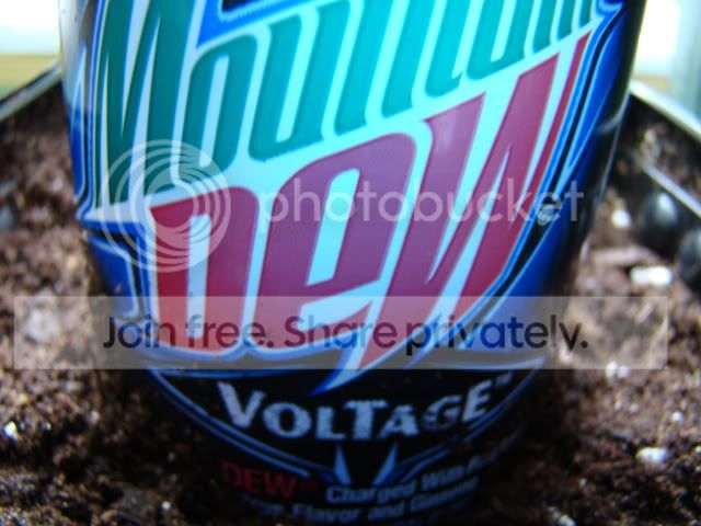 DSC01755.jpg