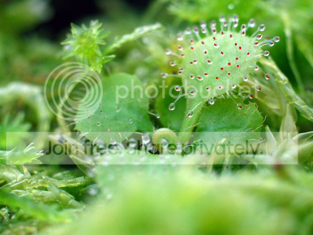 IMG_3007_zps27d38886.jpg