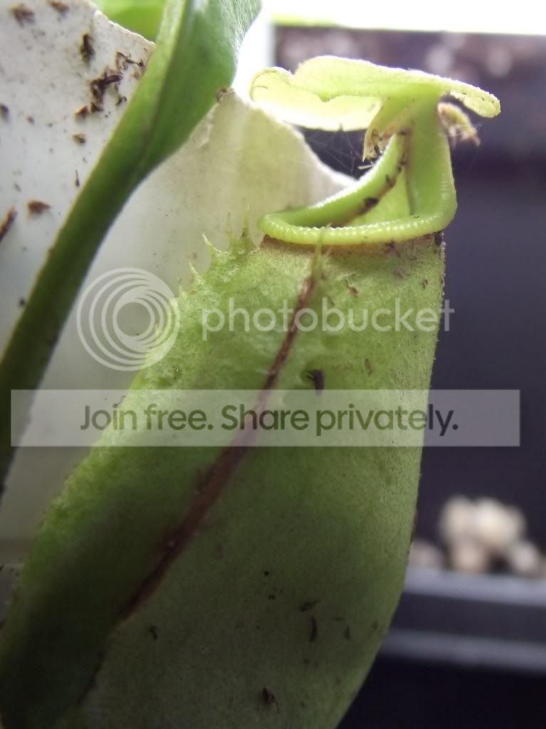 DSCF4980.jpg