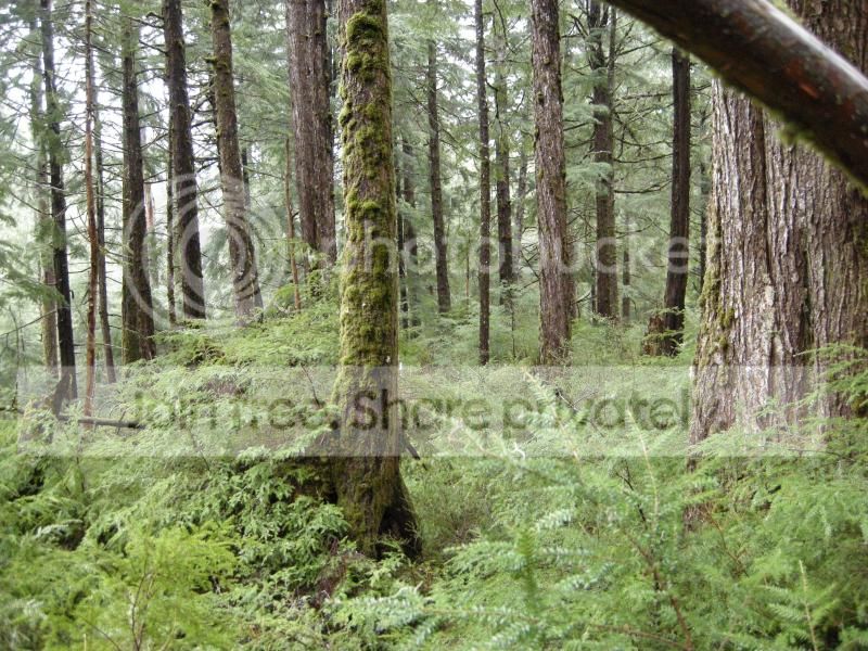 DSCN7226.jpg