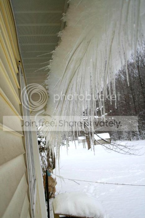 IMG_9245_zps9cb0381c.jpg