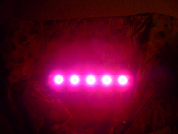 lighton.jpg