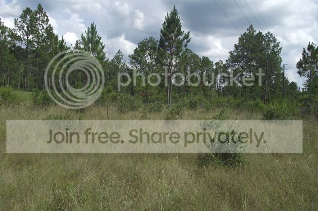 DSCF8553.jpg
