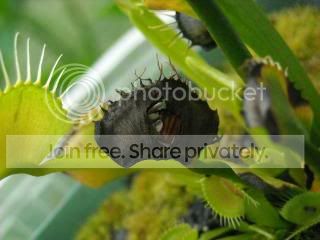 DSCN0406-2.jpg