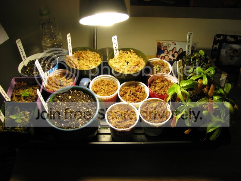 CPcollection_000.jpg