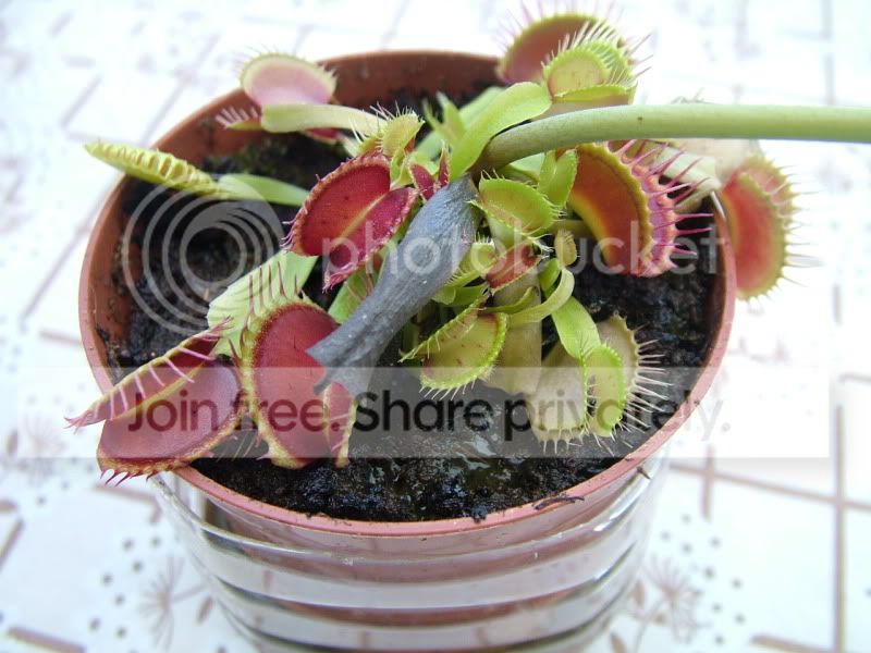 DSCF9034.jpg