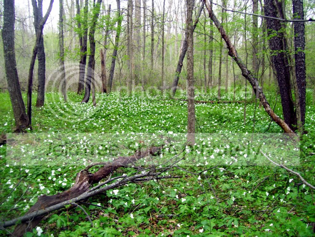 100_8293.jpg
