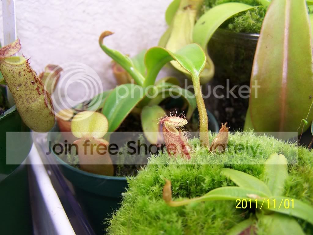 100_5505.jpg