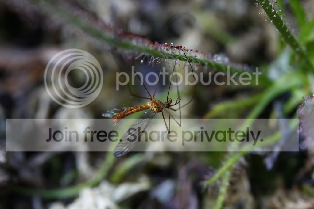 _MG_4587.jpg