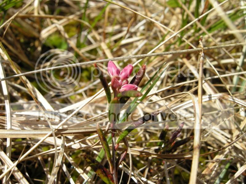 DSCN5945.jpg