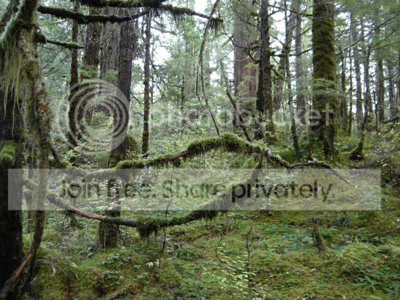 DSCN5513.jpg