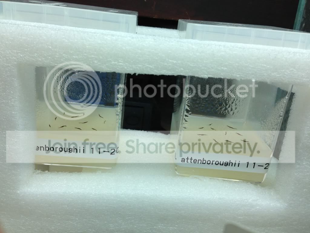 image_zps32823aec.jpg
