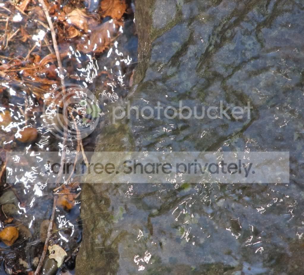 WaterOnRocks.jpg