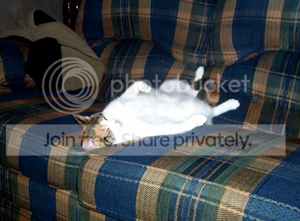 100_7409.jpg