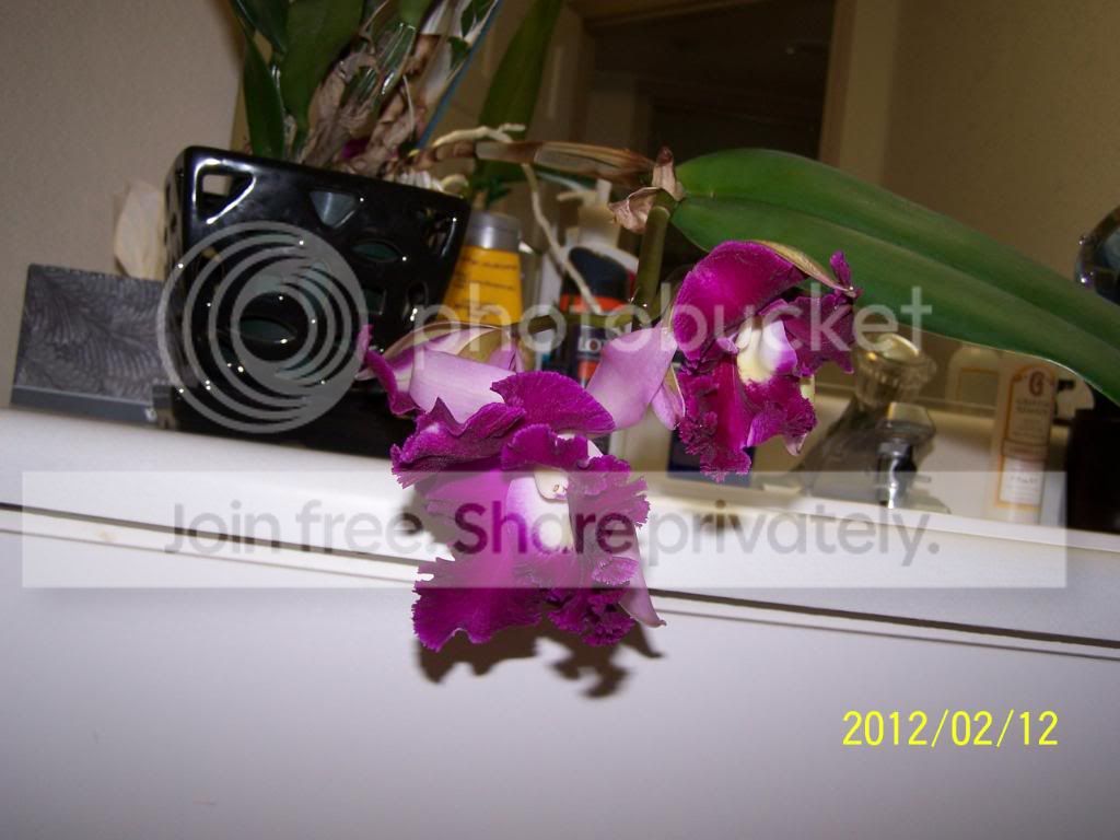 100_5822.jpg