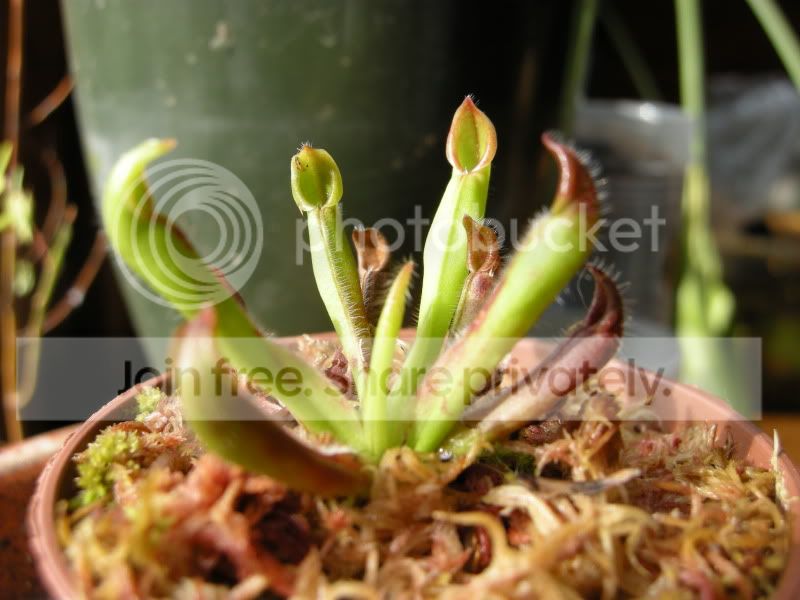 DSCN5857.jpg