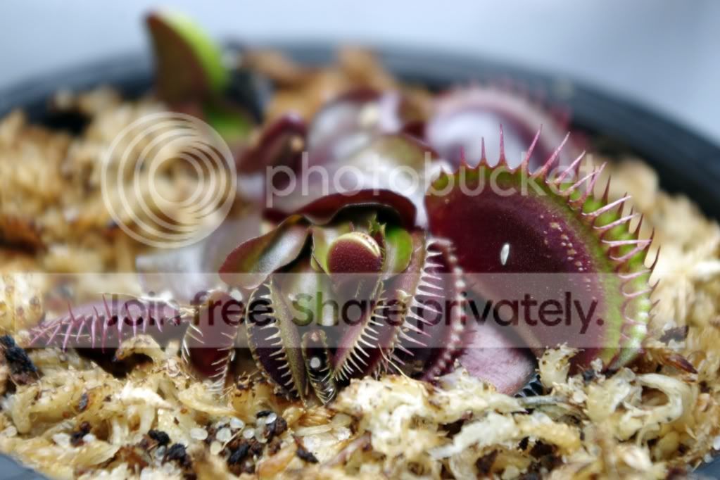 03-11_14.jpg