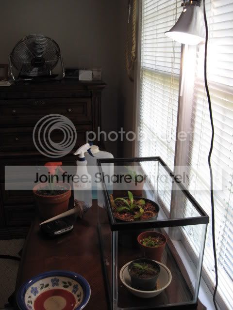 d3635aa9.jpg