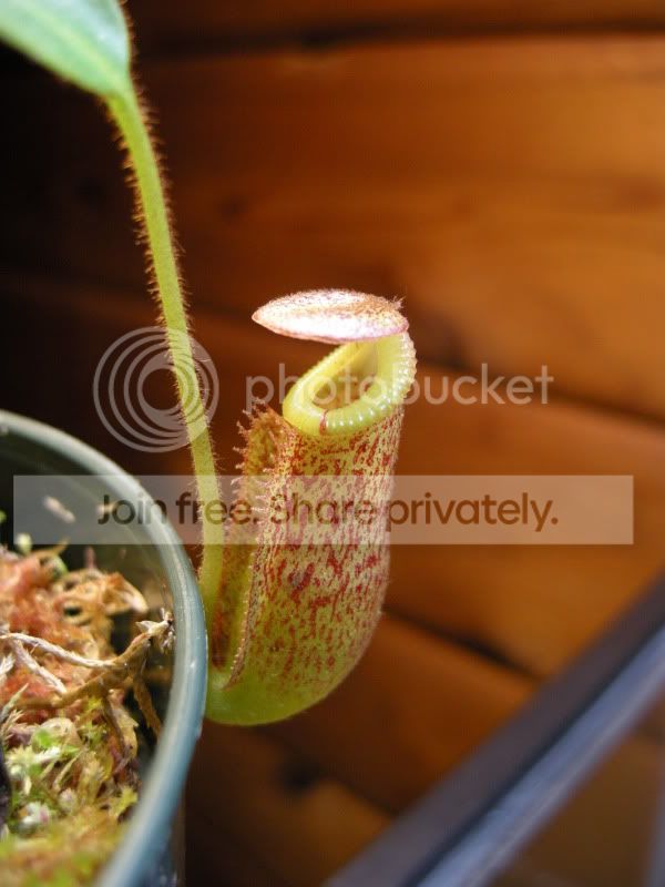 DSCN5898.jpg
