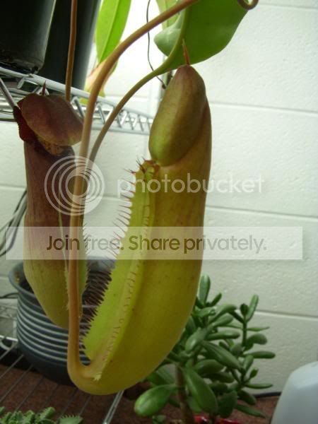 DSCN3494.jpg