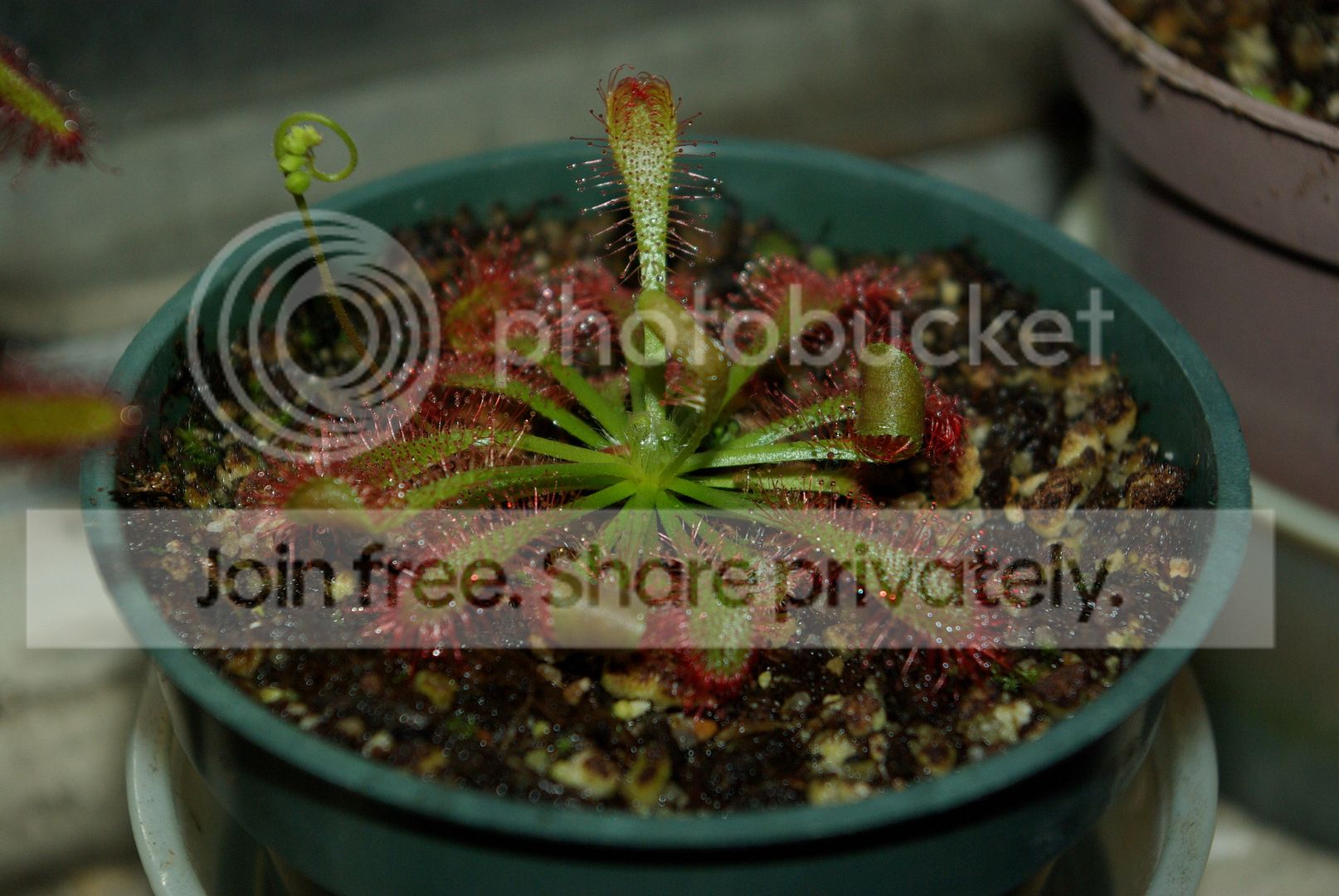 IMGP8359.jpg