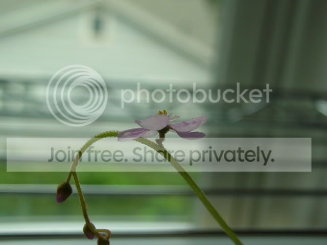 DSCN4696.jpg