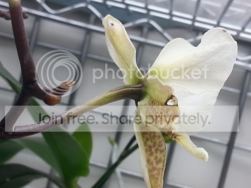 20140323_141446.jpg