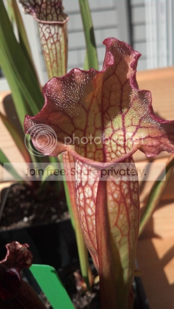 2012-07-29_16-17-50_47.jpg