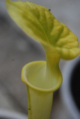 41890256_m.jpg
