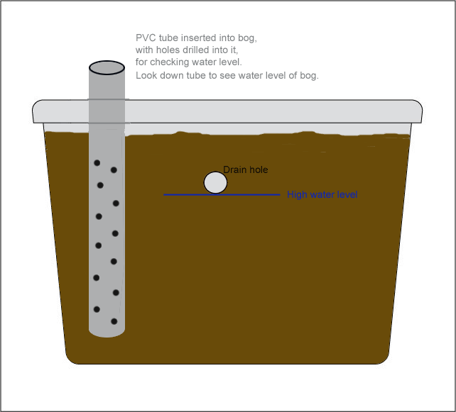 bog2.gif