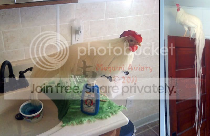 washing.jpg