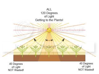 PlantLights-1.jpg