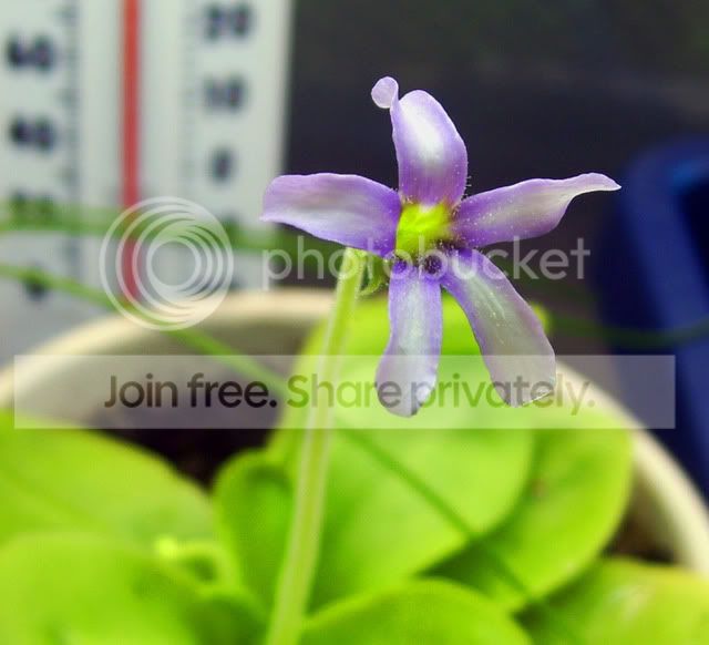 100_3786.jpg