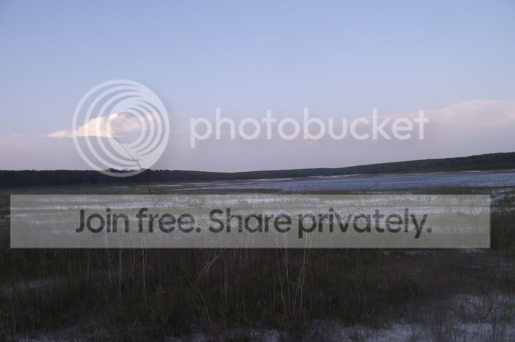 DSCF8826.jpg